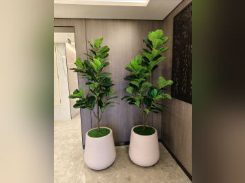 Premium Artificial Plants