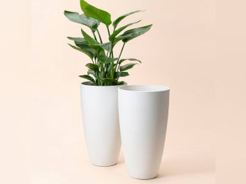Highlife FRP Planters