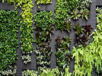1 mtr x 1 mtr Artificial Greenwall